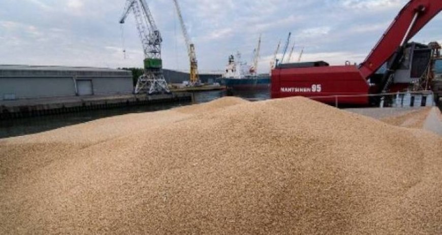 Demain est le dernier délai pour la soumission : l’Algérie achètera plus de 50 000 tonnes de blé tendre