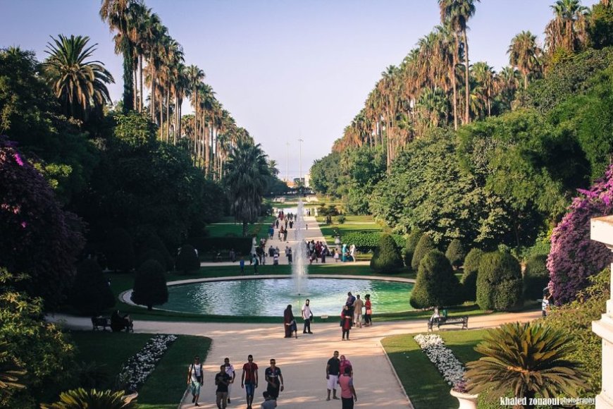 Véritable oasis de verdure : Le Jardin d’essai pris d’assaut par les visiteurs