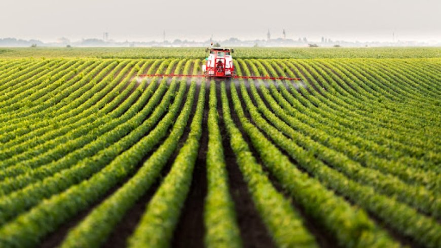 Oran/Recensement général de l’agriculture: Plus de 8 000 exploitations agricoles concernées