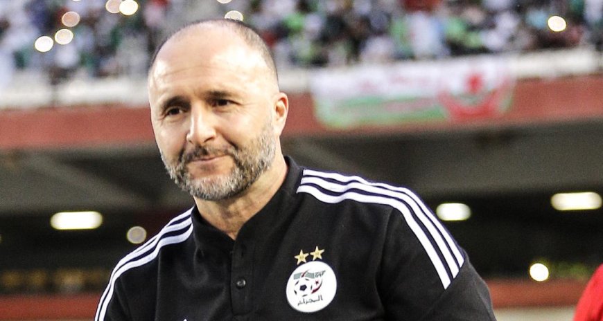 Djamel Belmadi : L’Éclaireur de l’Équipe Nationale Algérienne Avant la CAN 2023