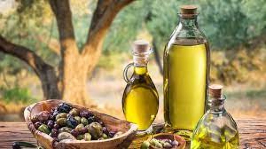 L’Élixir d’Algérie : L’Opportunité Dorée de l’Huile d’Olive à l’Export