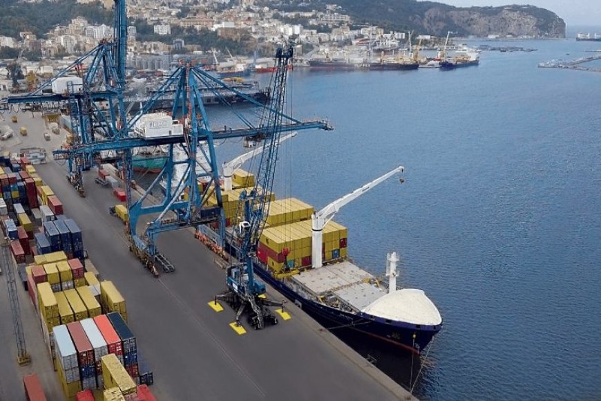 Béjaïa : Un Essor Spectaculaire au Terminal à Bois du Port