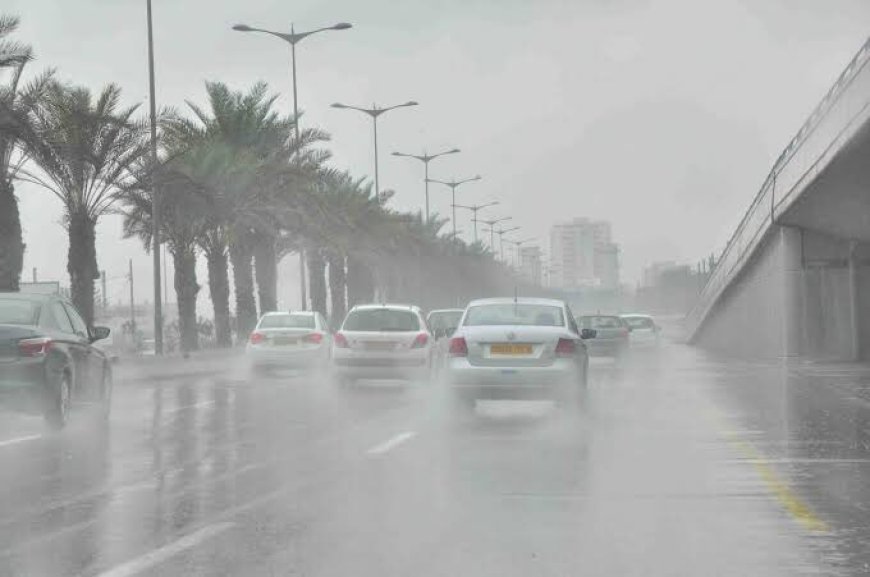 Météo : des averses orageuses lundi sur plusieurs wilayas