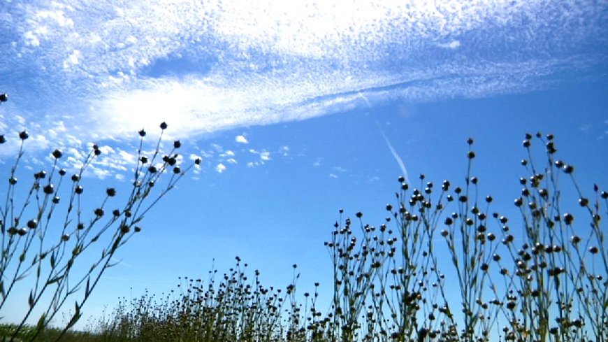 Météo en Algérie ce 28 novembre 2023 : Quel Temps Nous Réservent les Cieux ?