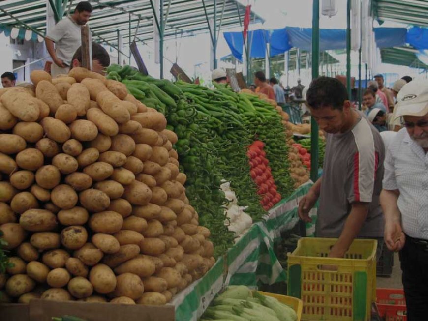 Plafonnement des Prix en Algérie : Un Acte de Salut Public ou une Nouvelle Étape Économique?