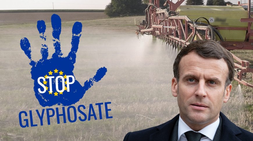 Glyphosate : Les ONG Contre-Attaquent en Saisissant la Justice de l’UE