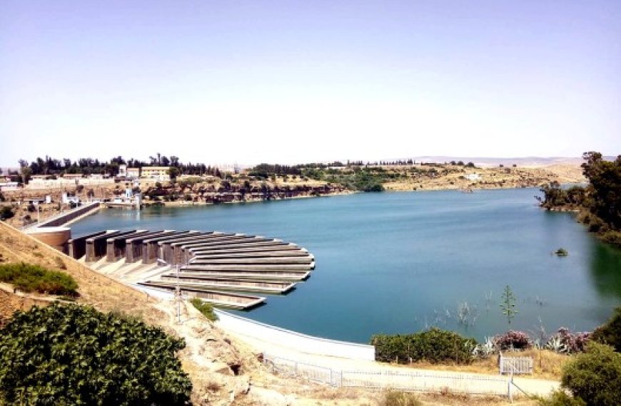 Université de Tiaret : Le défi de l’eau en débat