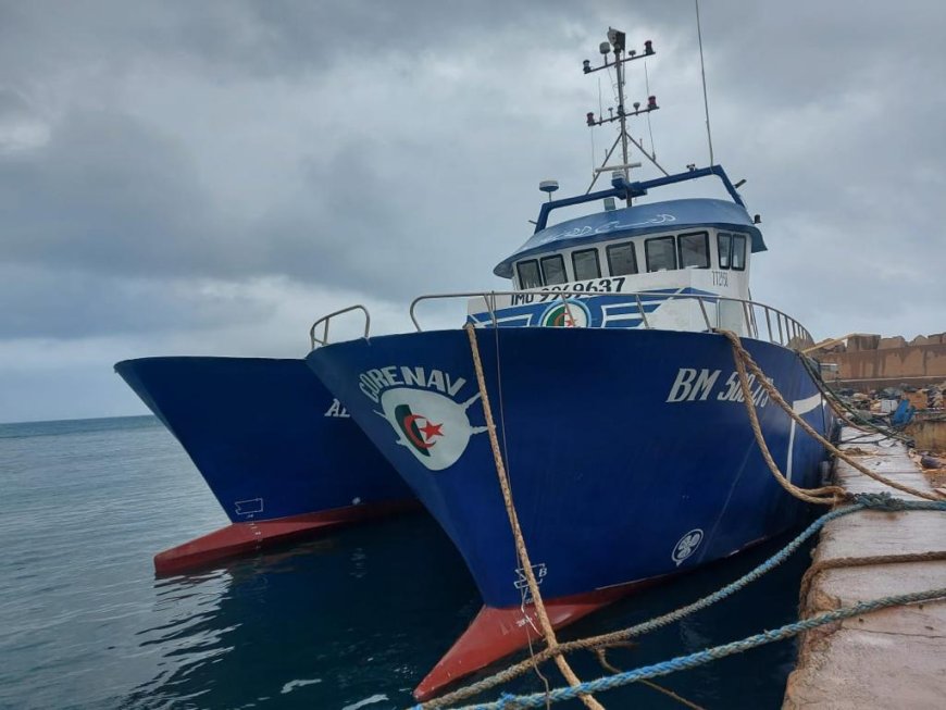 Les pêcheurs voulant importer des moteurs de navire d’occasion appelés à déposer leurs demandes