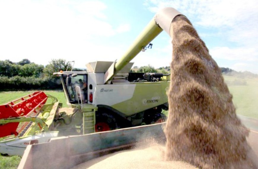 Alors que la production mondiale tend vers une baisse : Le département américain de l’Agriculture prévoit un recul des stocks de blé