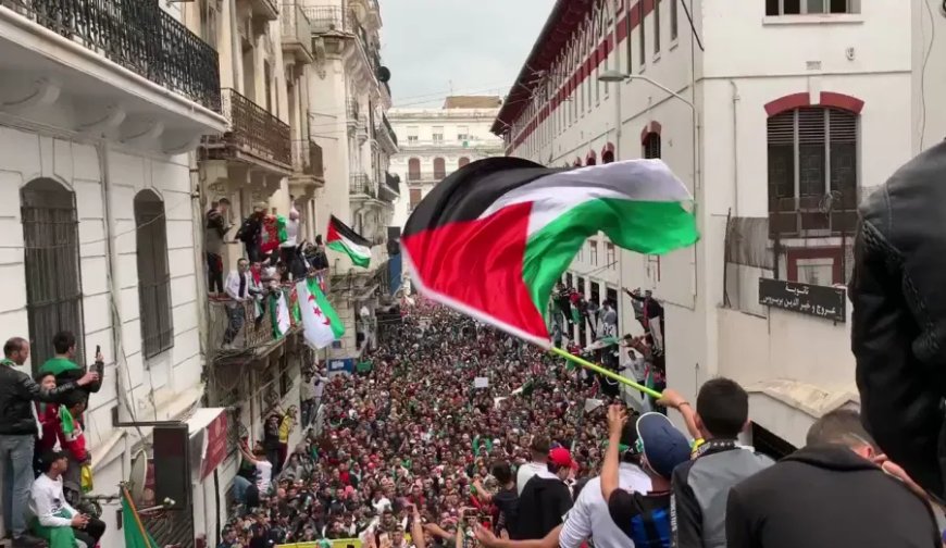 En Soutien à la Palestine : Marches Massives Prévues dans Toutes les Wilayas d’Algérie Demain