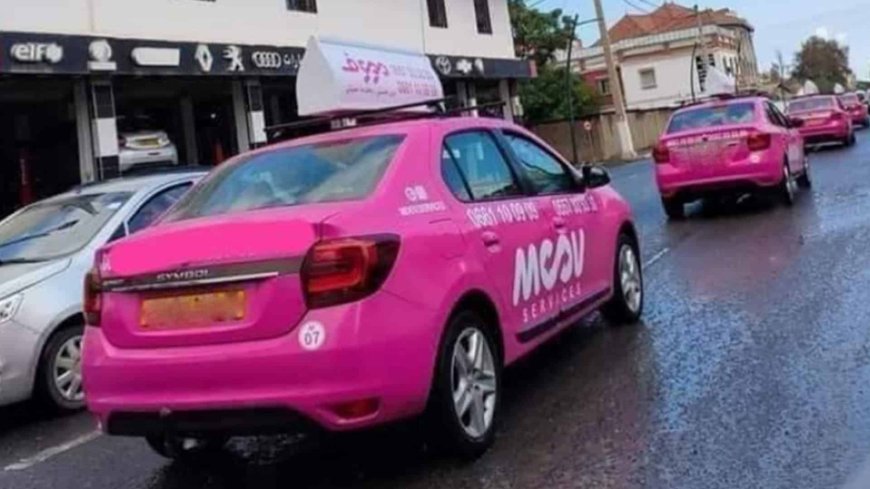 Blida : le service taxi dédié aux femmes suspendu