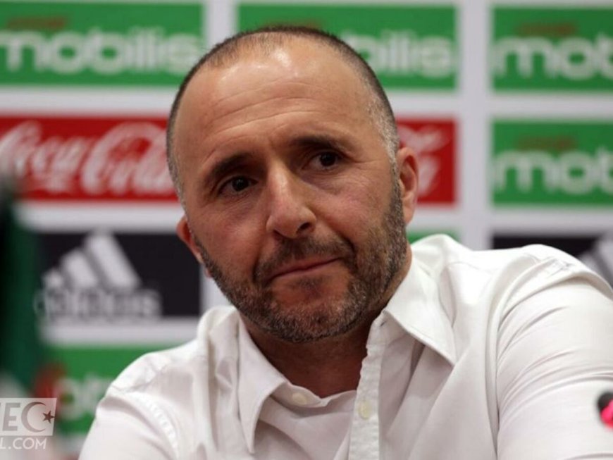 Djamel Belmadi Révèle sa Stratégie pour l’Équipe Nationale d’Algérie