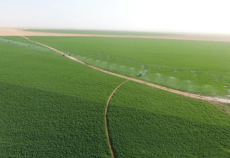 Les indicateurs clés du Recensement général de l’agriculture