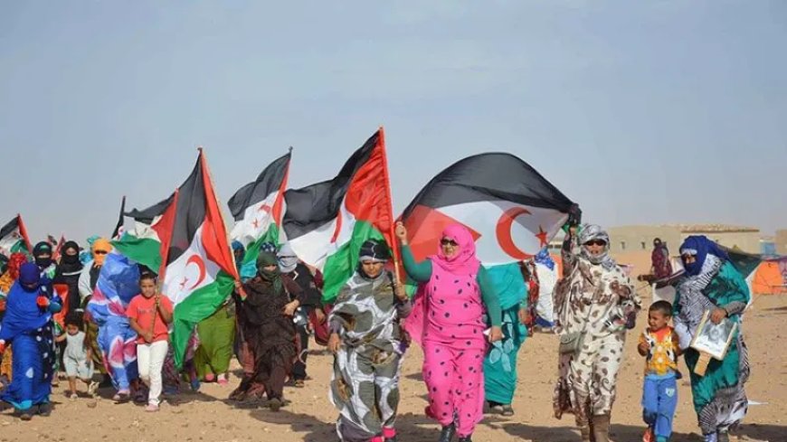 Le Comité arabe de solidarité avec le peuple sahraoui appelle à l’action pour la décolonisation du Sahara Occidental