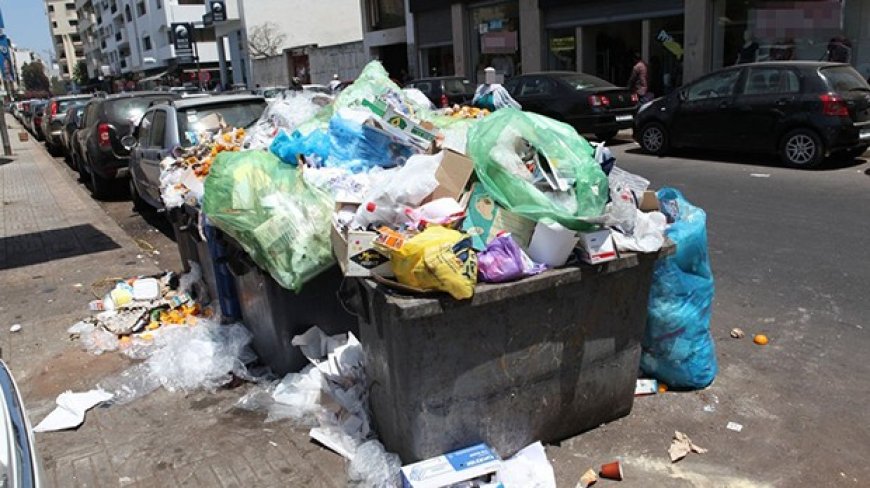 Routes, éclairage, poubelles et chiens errants à Annaba : Les habitants de la cité Dorban sonnent le tocsin