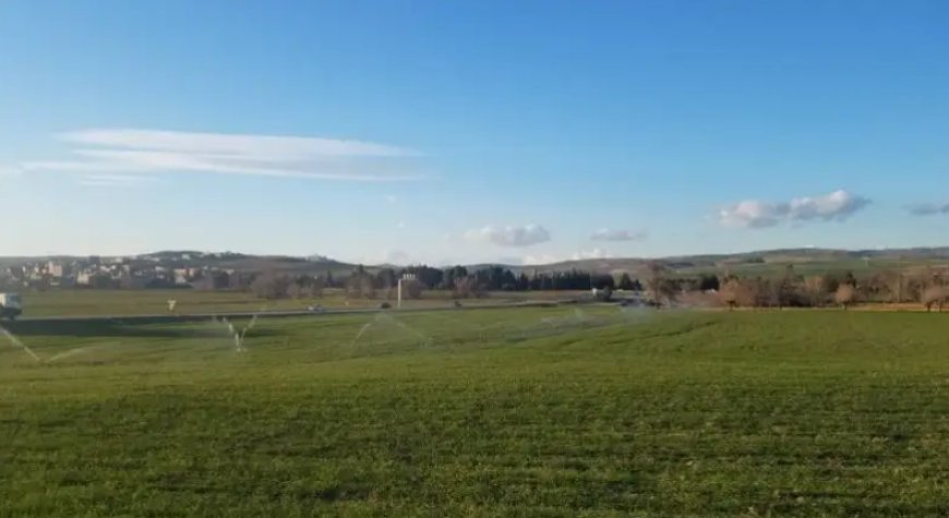 Début du recensement général de l’agriculture ce dimanche