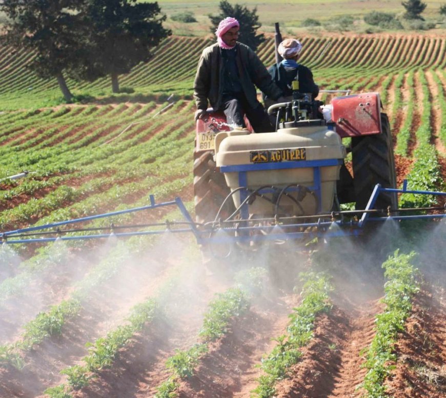 Algérie : Début du troisième Recensement général de l’agriculture (RGA).