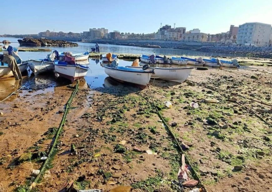 Le recul du niveau de la mer en Algérie : un phénomène naturel sans lien avec le séisme en Turquie