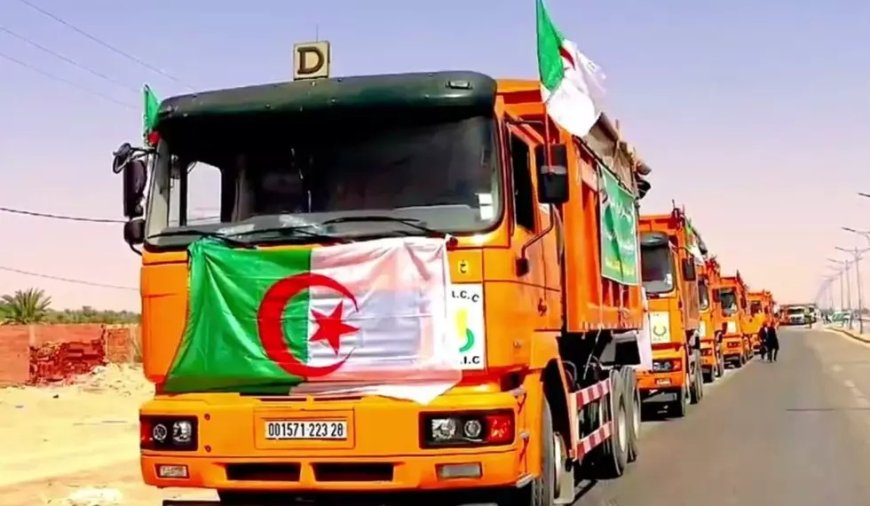 Campagne moisson-battage 2024: Une récolte de 370 000 quintaux  de céréales attendue à El Oued