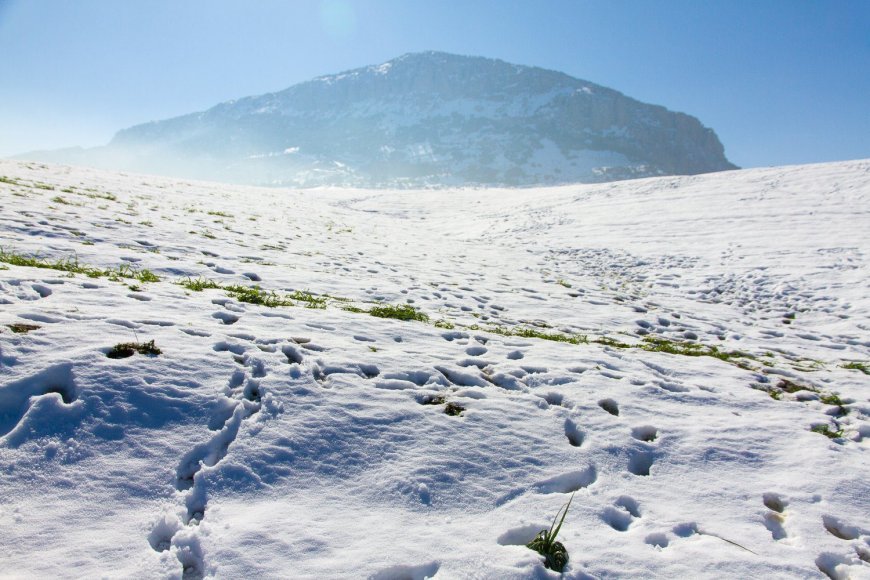 Météo : la neige persiste dans 24 wilayas