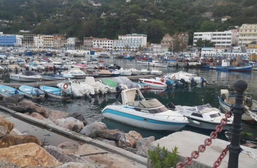 Skikda : Ouverture de l'investissement dans les industries de la pêche