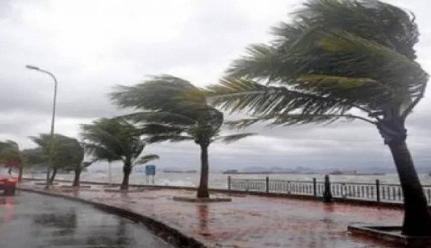 Météo : de fortes rafales de vent sur deux wilayas du nord