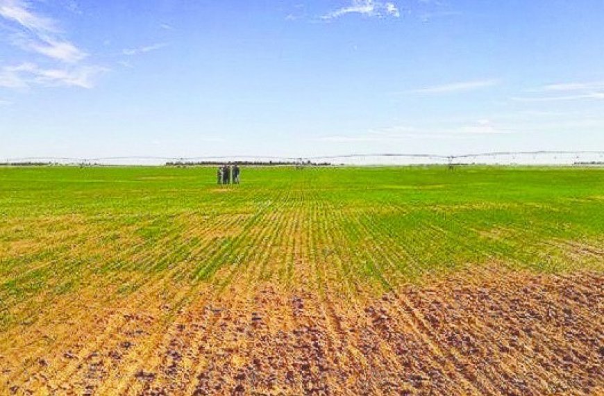 Ain Temouchent : La reconversion du système agricole devient une évidence