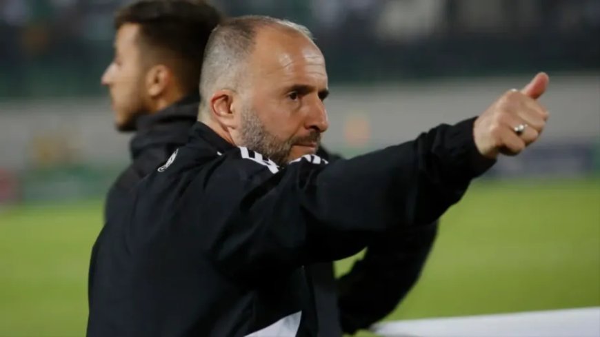 EN: Belmadi reçoit une bonne nouvelle avant les matchs amicaux de la Guinée et du Nigeria