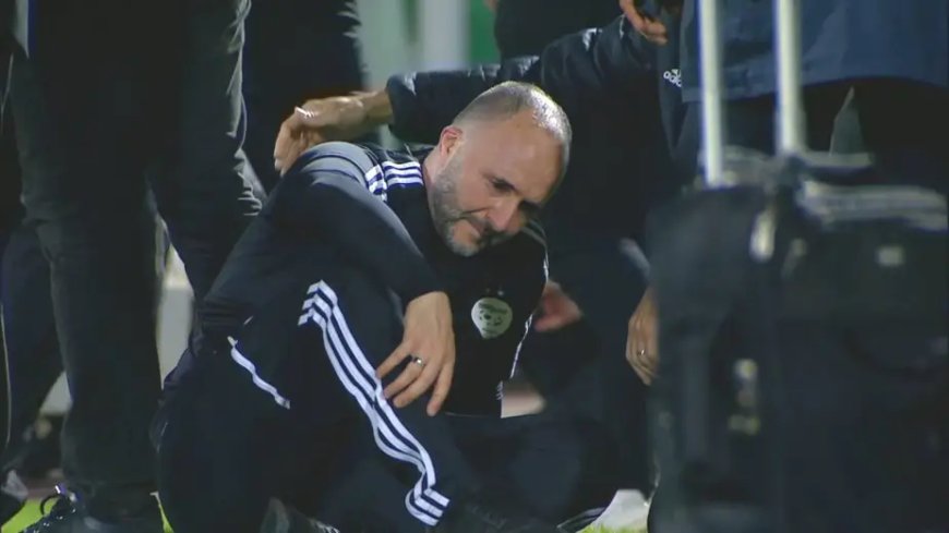 Belmadi reçoit un coup douloureux d’un joueur binational qui l’a invité à représenter l’équipe nationale algérienne