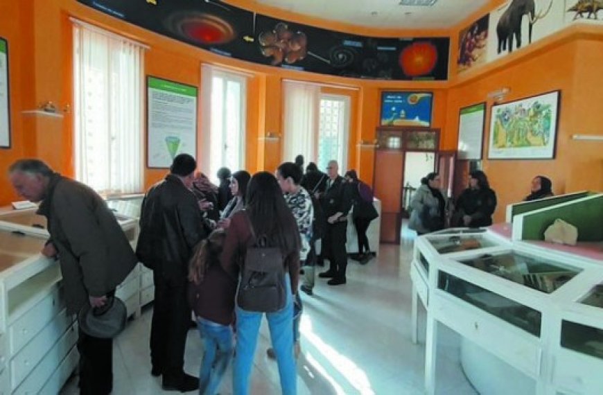 Musée de géologie de Béjaia : Un temple de la science et du tourisme