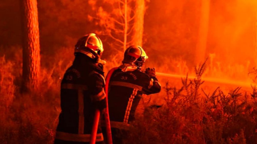 L’Europe connaît les « pires » Feu de forêt en 16 ans