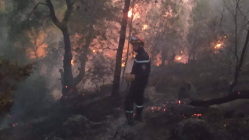 Dans la vidéo: l’intervention des hélicoptères de la protection civile pour éteindre les incendies de Bejaia