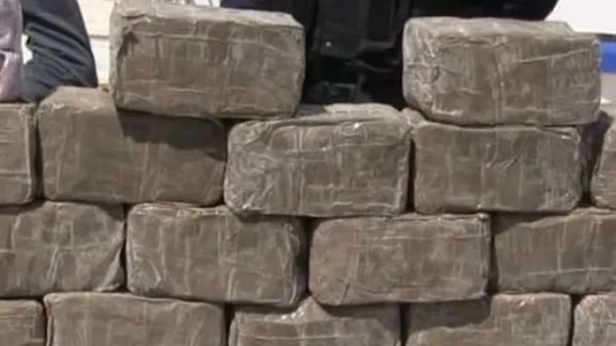 Algérie: 900 Kg de drogue saisis à la frontière marocaine