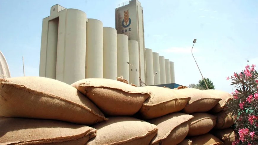 Après la chute des prix, l’Algérie acquiert 660 000 tonnes de blé