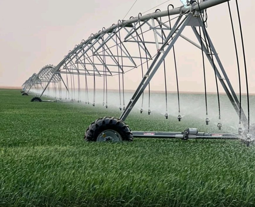 Agriculture : Création d’une entreprise publique de développement des cultures agricoles stratégiques