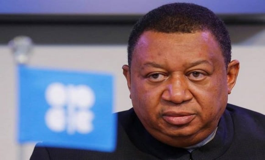 OPEP : décès du secrétaire général sortant de l’organisation, Mohammed Barkindo