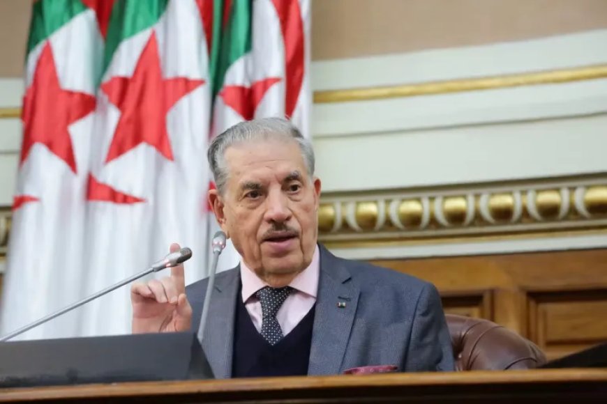 Saleh Goujil: L’initiative de réunification du président Tebboune est un prolongement de la révolution algérienne