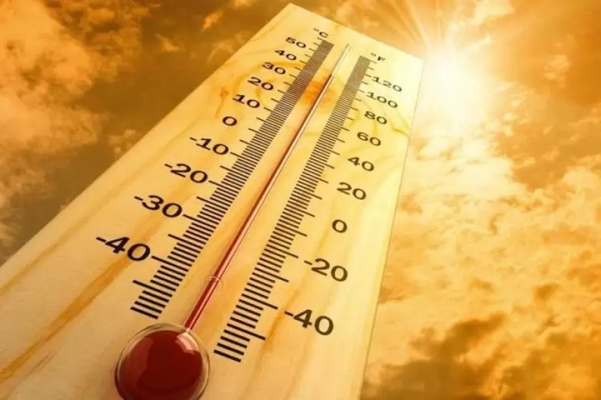 Meteo Algerie: L’ONM en garde contre une vague de chaleur « record »