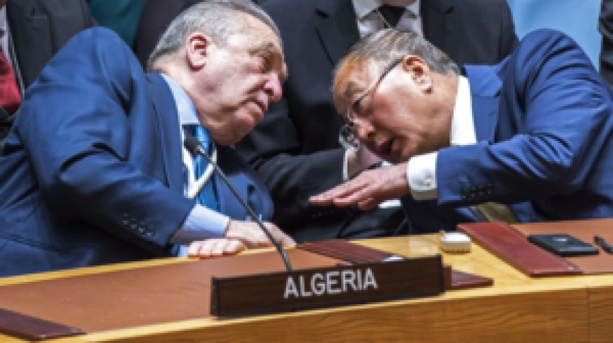 L’Algérie met à nu l’entité sioniste à l’ONU