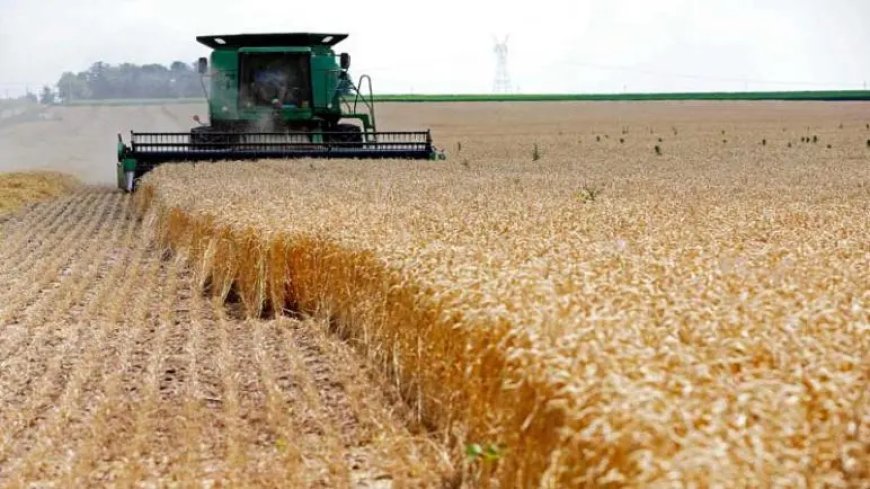 Le ministère de l’agriculture annonce une nouvelle procédure au profit des investisseurs du secteur