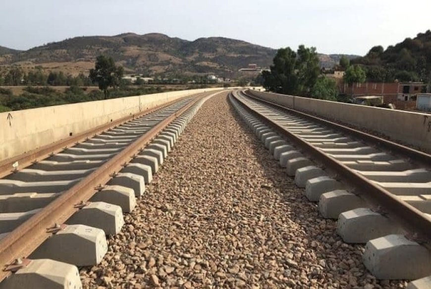 La ligne ferroviaire Khenchela-Aïn Beïda achevée