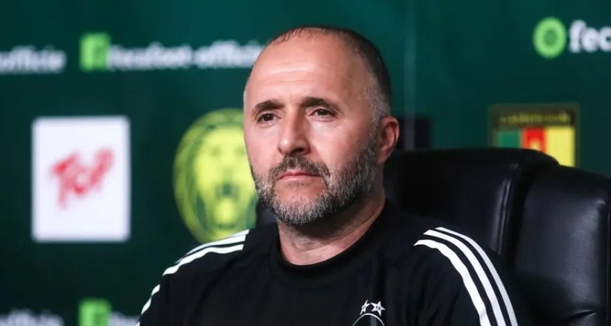 EN: Belmadi s’apprête à perdre les services d’un joueur important contre l’Ouganda et la Tanzanie