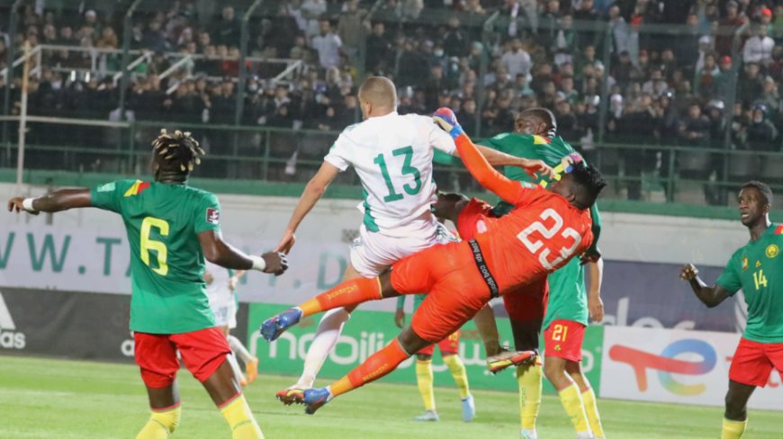 Algerie Foot: Sebgag redonne espoir aux Algériens concernant la rediffusion du match Algérie-Cameroun