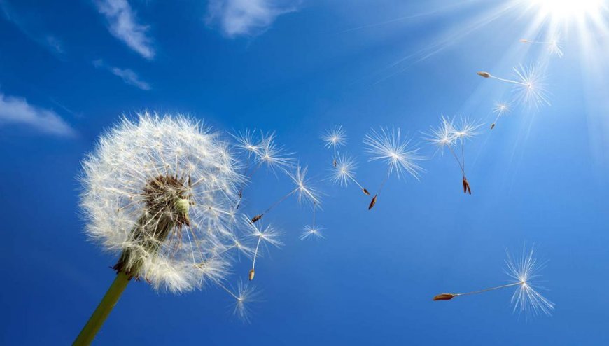 Ciel nuageux ou ensoleillé, quelles sont les prévisions météo en Algérie ce 29 mai ?