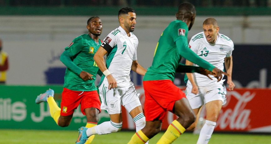 Algérie-Cameroun / la FAF se plaint en réclamant de rejouer le match