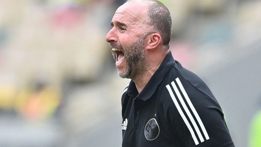 EN: Les attentes du départ de Belmadi de l’équipe nationale algérienne