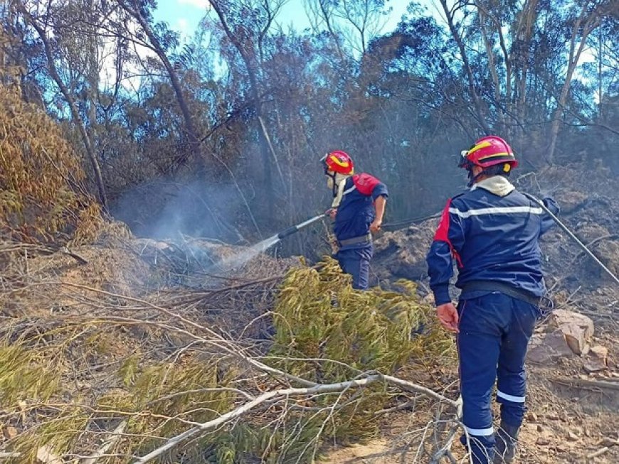 Lutte contre les incendies : 20.000 pompiers mobilisés