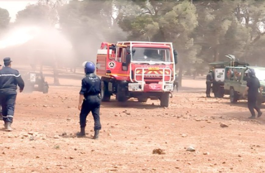 Sidi Bel Abbès : Simulation d'un incendie de forêt à Moulay Slissen