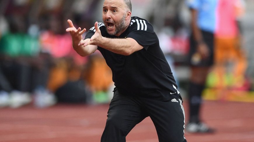 Belmadi a choqué les supporters algériens avec une déclaration sur ce joueur