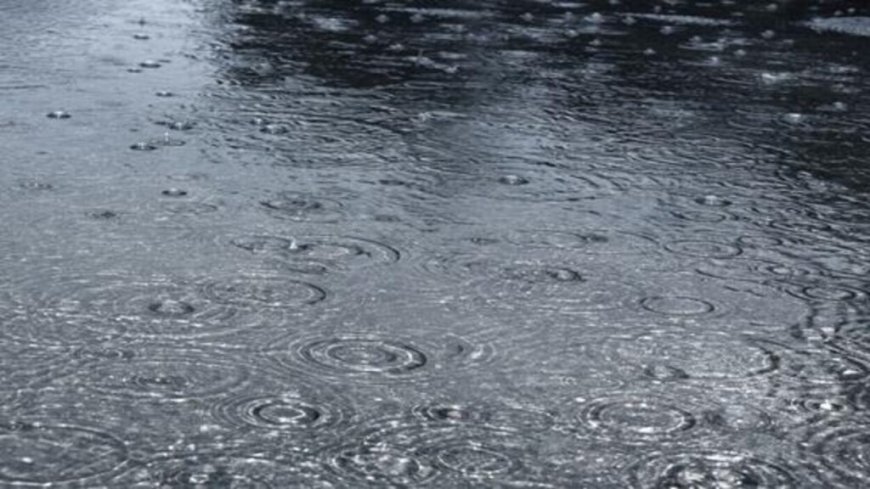 BMS en Algérie : pluie dans plusieurs régions prévues pour ce soir